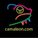 Camaleón Diseño Visual